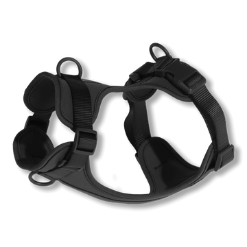 Pure Harness kutyahám