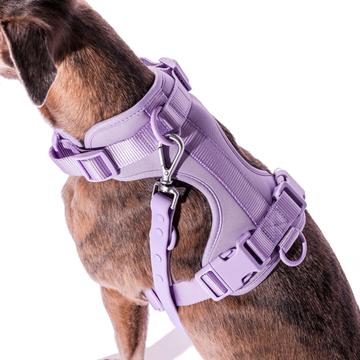 Pure Harness kutyahám szett