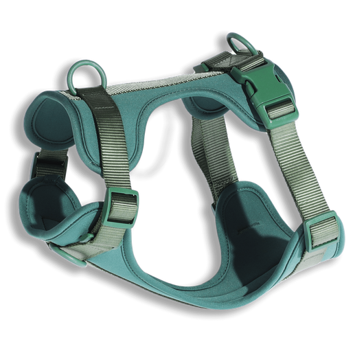Pure Harness kutyahám