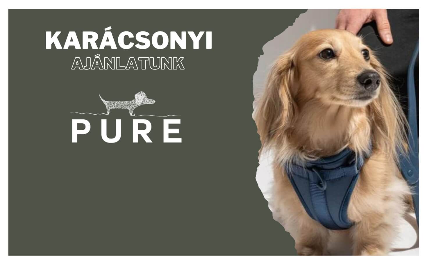 Pure